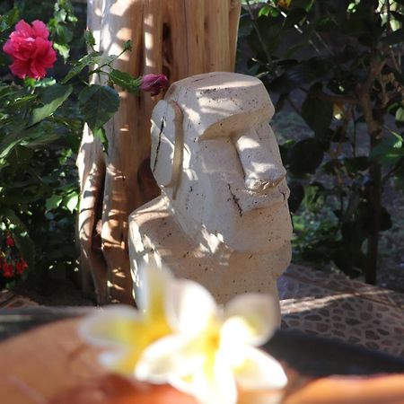 Hostal Avareipua Χάνγκα Ρόα Εξωτερικό φωτογραφία