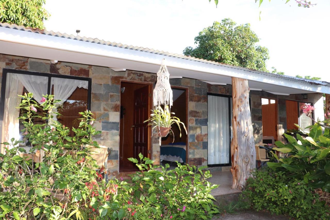 Hostal Avareipua Χάνγκα Ρόα Εξωτερικό φωτογραφία